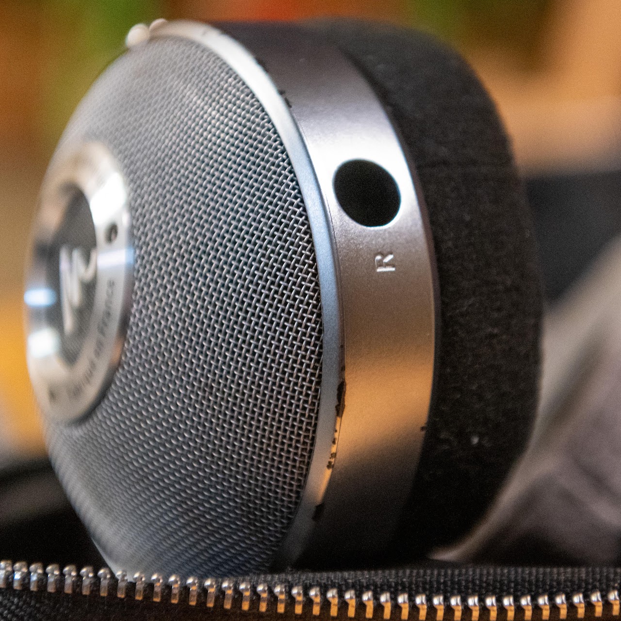 Side view of a Focal Clear ear cup and cable socket